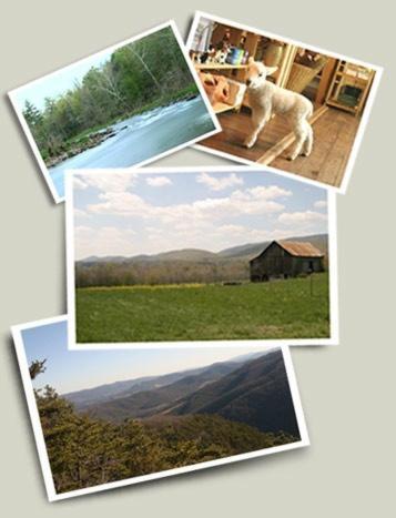 Lost River B&B Mathias ภายนอก รูปภาพ